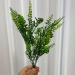 بوته سرخس سنبل دار
