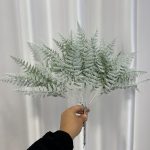 بوته سرخس برفی