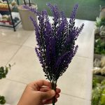 بوته کاجی دو رنگ - تصویر 2