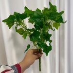 بوته باکسی چند مدل