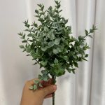 بوته شمشاد خاکی