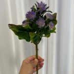 بوته پلاستیکی قاصدک وحشی - تصویر 4