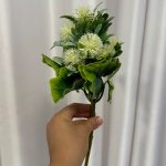 بوته پلاستیکی قاصدک وحشی