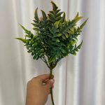 بوته پلاستیکی سرخس کوچک