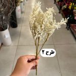 بوته دم روباهی - تصویر 3