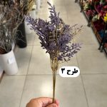 بوته دم روباهی - تصویر 4