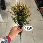 بوته دم روباهی پفکی - تصویر 2