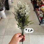 بوته دم روباهی پفکی - تصویر 4