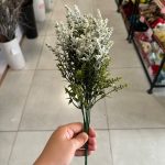 بوته دم روباهی پفکی