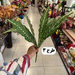 بوته برگ 9 برگ - تصویر 4