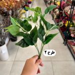 بوته برگ باکسی لمسی - تصویر 2