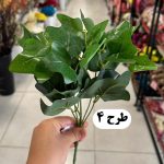 بوته برگ باکسی لمسی - تصویر 4