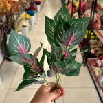 بوته برگ باکسی لمسی