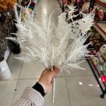 بوته سرخس سفید