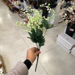 بوته فندقی بزرگ 7 شاخه
