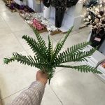 بوته سرخس 40 سانتی