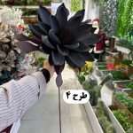 شاخه گل فومی تک گل درشت - تصویر 2