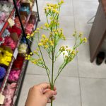 شاخه شکوفه عروس