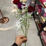 شاخه شکوفه عروس - تصویر 4