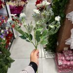 شاخه شکوفه بابونه دار