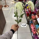 شاخه اورانتوس 3 بازو - تصویر 2