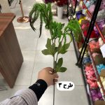 شاخه اورانتوس 3 بازو - تصویر 4