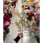 شاخه برگ چناری رنگی - تصویر 3