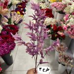 شاخه برگ چناری رنگی - تصویر 4