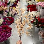 شاخه برگ چناری رنگی