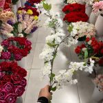 شاخه شکوفه - تصویر 3