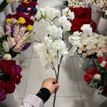 شاخه شکوفه - تصویر 4