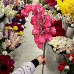 شاخه شکوفه