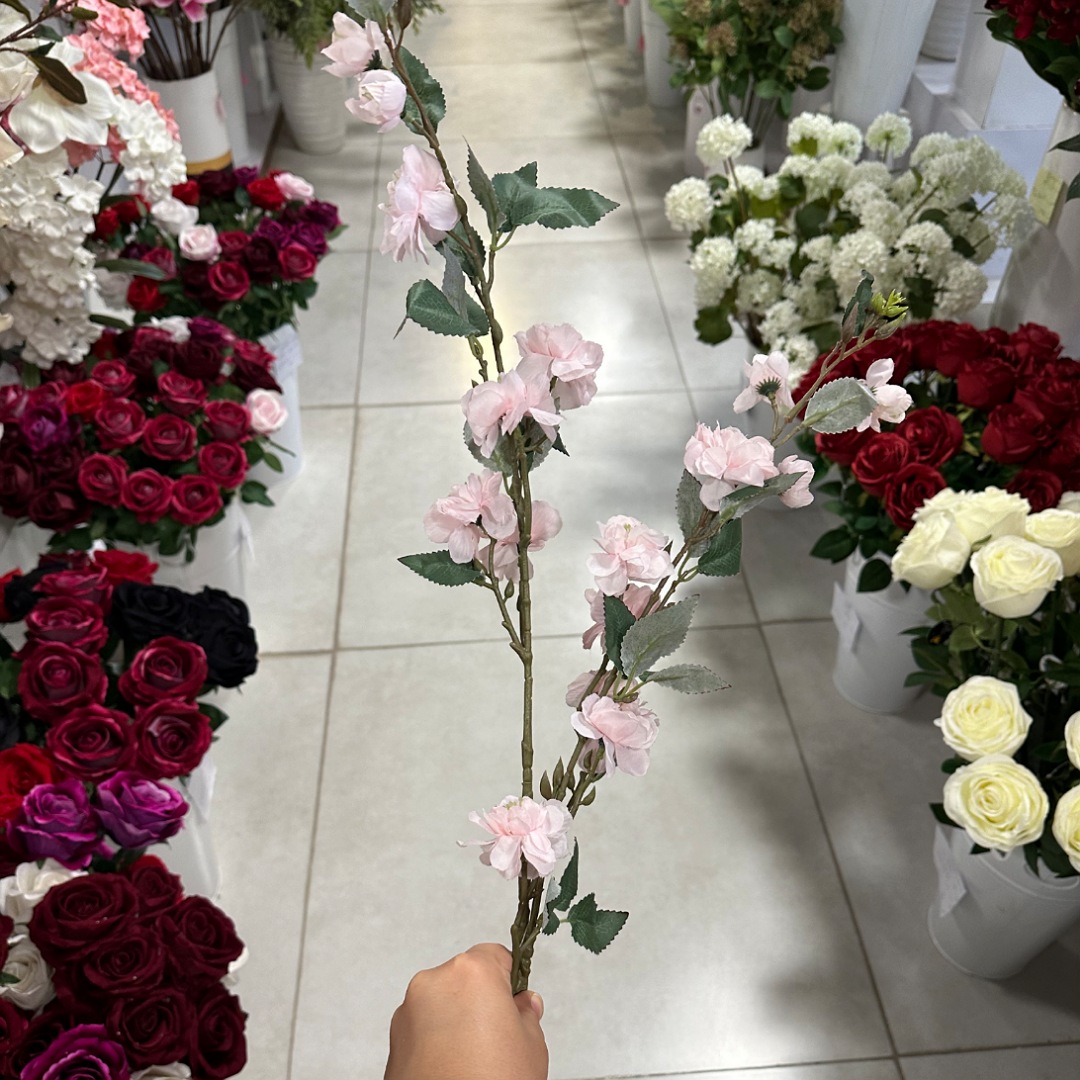 IMG_20250831_113000_(1080_x_1080_pixel) شاخه شکوفه 2 بازو - تصویر 1