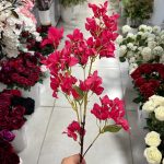 شاخه شکوفه کاغذی