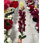 شاخه شبو فندقی