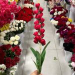 شاخه شبو فندقی - تصویر 3