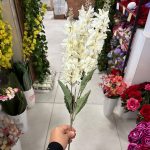 شاخه شبو - تصویر 3
