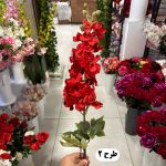 شاخه شبو مخمل - تصویر 3