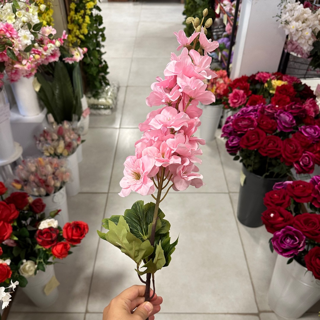 IMG_20250831_124955_(1080_x_1080_pixel) شاخه شبو مخمل - تصویر 1