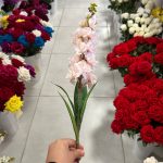 شاخه شبو - تصویر 3
