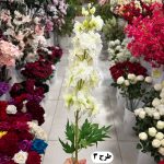 شاخه شبو - تصویر 4