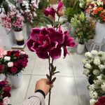 شاخه مگنولیا - تصویر 4
