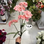 شاخه ارتانزیا 5 گل - تصویر 2