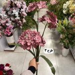 شاخه ارتانزیا 5 گل - تصویر 4