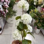 شاخه گل بداغ - تصویر 2