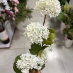 شاخه گل بداغ - تصویر 3