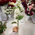 شاخه شکوفه - تصویر 2
