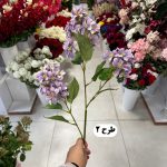 شاخه شکوفه - تصویر 3