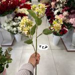 شاخه شکوفه - تصویر 4