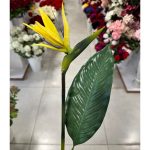 شاخه پرنده بهشتی - تصویر 2